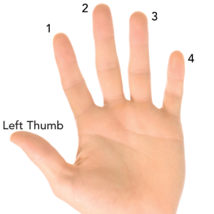 image of left hand with finger numbers for guitar